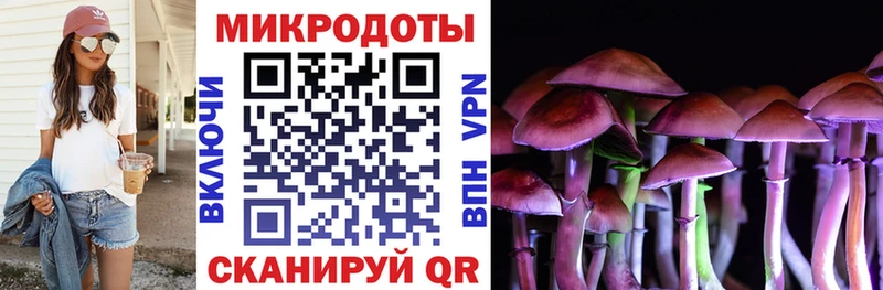 Псилоцибиновые грибы Psilocybine cubensis  Тихвин 